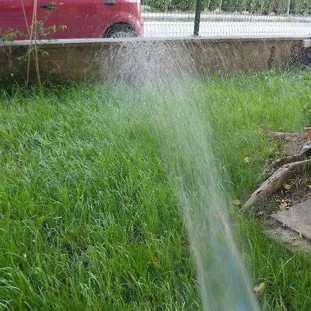 Akpolat