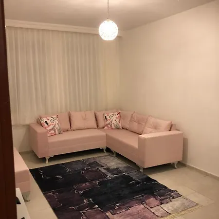 Akpolat 2*