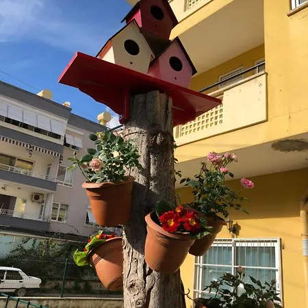 Akpolat Ξενοδοχείο με διαμερίσματα 2*