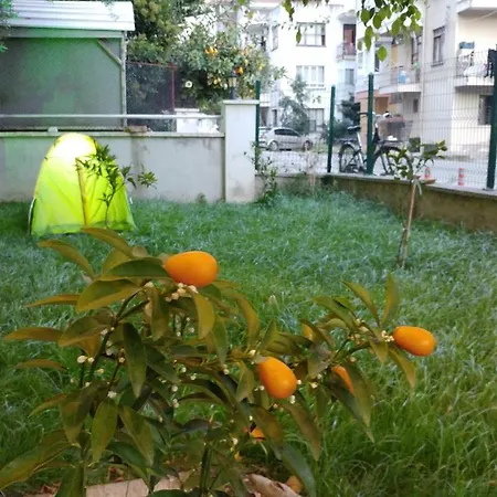 Ξενοδοχείο με διαμερίσματα Akpolat Αλάνια