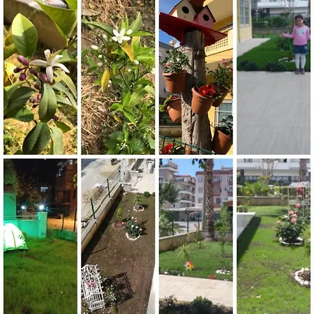Akpolat Ξενοδοχείο με διαμερίσματα Αλάνια